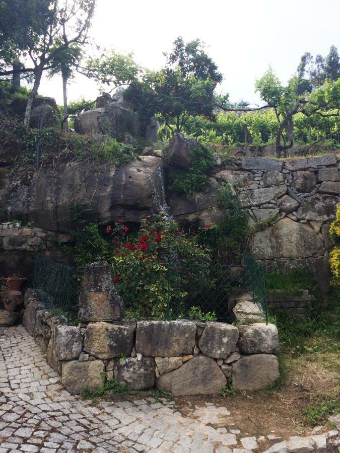 Quinta De Catapeixe Douro River Magrelos Exterior photo